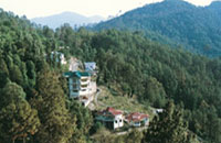 Rashi resort, Rashi resort chail, rashi chail, resort chail, hotels and resorts in chail, hotels in chail, hotels chail, chail resorts, chail hotels, resort chail, solan, rashiresorts,&amp; summer package, holiday Discount tariff/ pricelist /rate summer/honeymoon packages, Summer getaways.