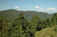 TARIKA'S JUNGAL RETREAT