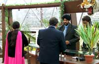 Tarikas Jungal Retreat Chail  Reception View