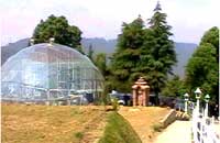 Tarikas Jungal Retreat Chail 