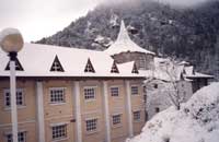 Toshali Royal View, Shimla, Himachal pradesh.