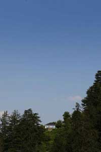 VIDLET HILL COTTAGE, Vidlet Hill Cottage, vidlet hill cottage,Cottages in Mashobra,Mashobra Hotels,Mashobra Cottages,Mashobra Himachal Pradesh,Mashobra Resort,Hotels in Mashobra.