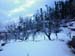 Agrostone_Cottagea8