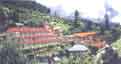 Ambassador resorts manali himachal pradesh india click here to know more about this resort