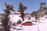 Asia Health Resorts,asia health resorts, Asia Health Resorts Dharamsala, Mcleodganj, Dharamshala ( A Hill Resort ), Dharamsala Hotels, Dharamsala Resorts, Dharamsala Packages, Dharamsala Cottages.Dharamsala.