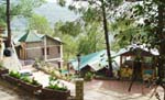 A Blossom Resort