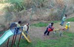Blossom Resortb2