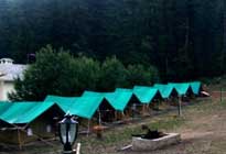 Camp NatureTrails  Holiday Camp Mashobra Sivpur Shimla Himachal Pradesh