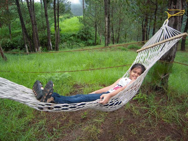 Hammock
