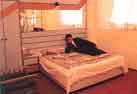 HOTEL CRYSTAL PALACE,Hotel Crystal Palace,hotel crystal palace,hoteo crystal palace, Hotel Sukh Sagar,Hotel Kufri Pacific, Monaal Shimla, chanakya, East Bourne Resorts,Honeymoon Inn, Honey moon,Springfields, spring fields  Hill station, Dalhousie, hotel mount view, hotel, shimla, lodge, shimla hotel, HP Hotel, shimla restaraunt, chandigarh, cheap hotel, economy hotel, himachal pardesh, HP, Mall Road, summer getaway, summer camp,  summer hill, hills, Jakhoo, jakhoo temple , hill station, india, royale hotel, best hotel, online hotel, economy lodging, cheap lodge, city lodge, indian hotel, india.