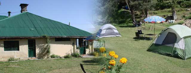 Adventure Camp Kasauli Camping In Kasauli Adventure Camp In Kasauli Adventure Tours Kasauli Camping In Kasauli Kasauli Camping Tour Packages Jungle Camping In Kasauli