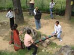 Resort Activities 