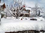 Snowtime HighlandPark Manali 
