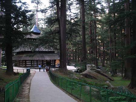 Around View