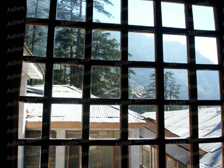 View From Room