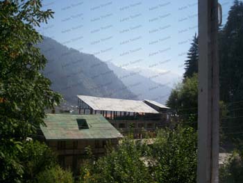 View-From-Bedroom