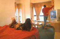 Hotel Lions Mihani Chail Himachal Prades,List of Hotels in Chail, Deluxe Hotel in Chail, Luxury Hotel in Chail, Five star ,hotels, ,Chail, Top end ,hotels in  Chail,Hotels in Chail Accommodation in Chail Stay options in Chail,Hotel Lions Mihani Chail  Hotels, Palace, Resorts Himachal Pradesh, &amp;  discount hotels rates / tariff / price hotels in Chail.