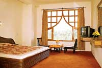Hotel Vintage  Manali