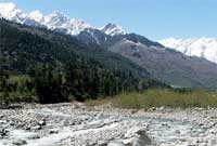 Hotel Vintage  Manali