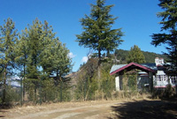 Park woods: park wood a village resort,park wood a village resort in shimla "Park woods" Hotel Park wood shimla hotels in shimla.