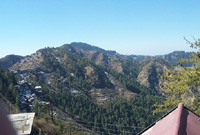 Park woods: park wood a village resort,park wood a village resort in shimla "Park woods" Hotel Park wood shimla hotels in shimla.