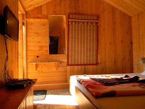 Kasauli Tree House3