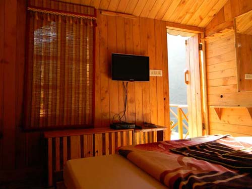Kasauli Tree House4
