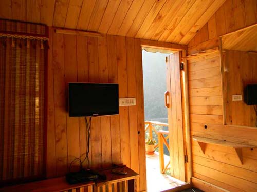 Kasauli Tree House5