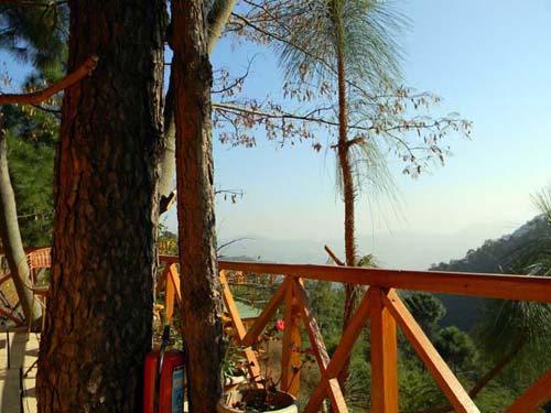 Kasauli Tree Housea2
