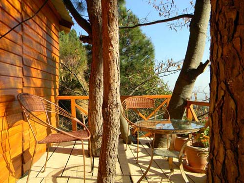 Kasauli Tree Housea3