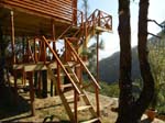 Kasauli Tree House2