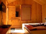 Kasauli Tree House3