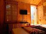 Kasauli Tree House4