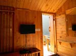 Kasauli Tree House5