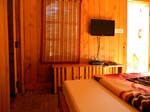 Kasauli Tree House6