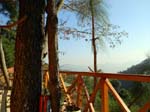 Kasauli Tree Housea2