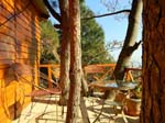 Kasauli Tree Housea3
