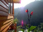 Kasauli Tree Housea7