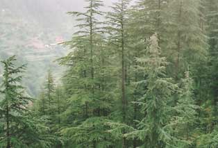 view from the hotels