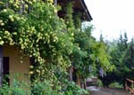 3.  cottage