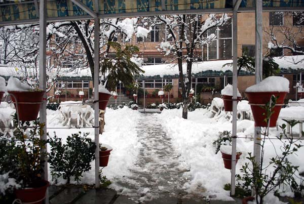 snow1
