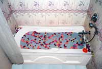Manali inn Bathtub