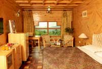 Manali Inn Duplex Suites