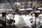 snow1