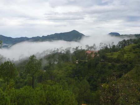 Around Chail View