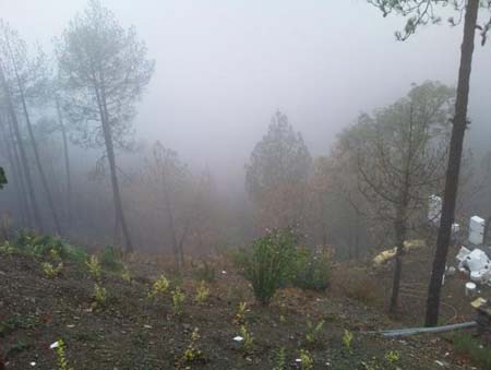 Around View Chail