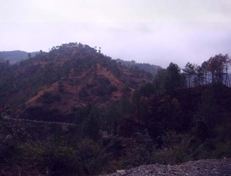 Around View