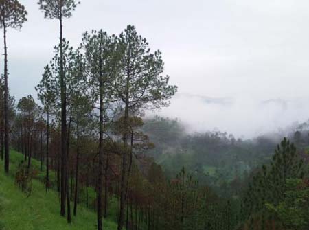 Chail Around 
