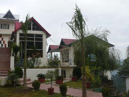 Front View