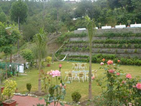 Lawn View